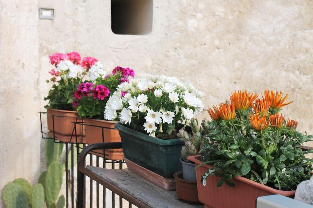 Casa Masseria Dell'800 Gargano. Le Mignole Monte SantʼAngelo Buitenkant foto
