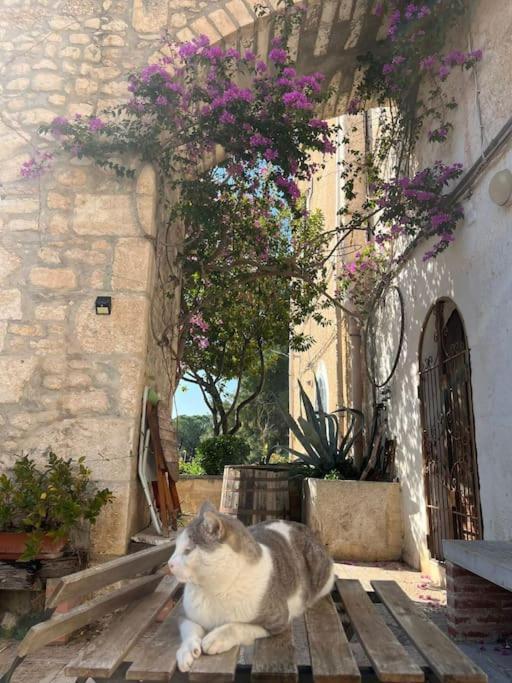 Casa Masseria Dell'800 Gargano. Le Mignole Monte SantʼAngelo Buitenkant foto