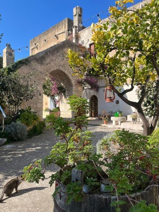 Casa Masseria Dell'800 Gargano. Le Mignole Monte SantʼAngelo Buitenkant foto