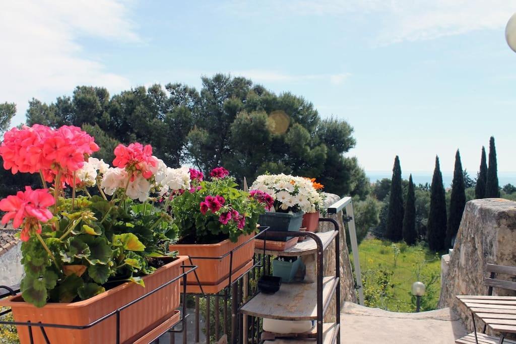 Casa Masseria Dell'800 Gargano. Le Mignole Monte SantʼAngelo Buitenkant foto
