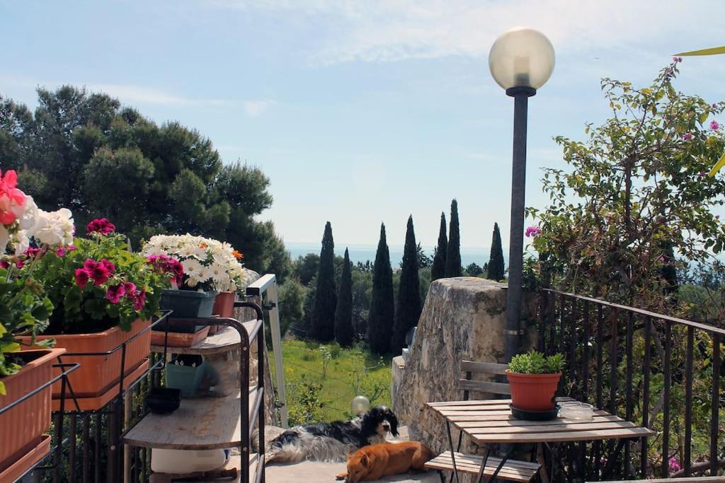 Casa Masseria Dell'800 Gargano. Le Mignole Monte SantʼAngelo Buitenkant foto